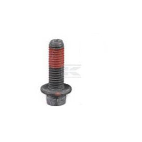 Boulon FPT 4899039FPT