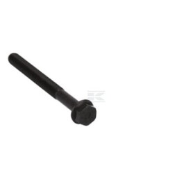 Boulon FPT 4891353FPT