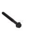Boulon FPT 4891353FPT