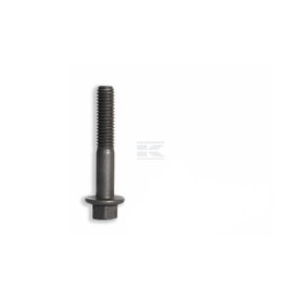 Boulon FPT 4895483FPT