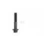 Boulon FPT 4895483FPT