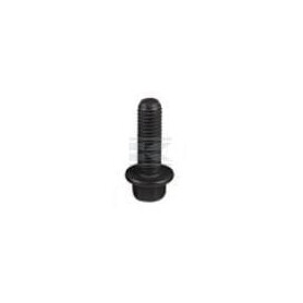 Boulon FPT 4899079FPT