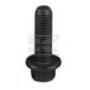 Boulon FPT 4899079FPT