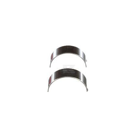 Coussinet FPT 500055463FPT