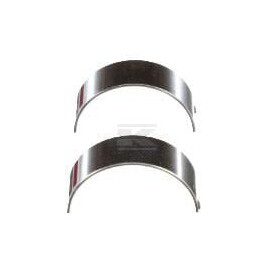 Coussinet FPT 500055463FPT