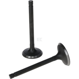Kit de soupape LONCIN 5005500300001