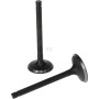 Kit de soupape LONCIN 5005500300001