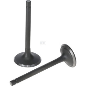 Kit LONCIN 5005500320001