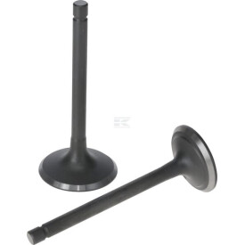 Kit LONCIN 5005500320001