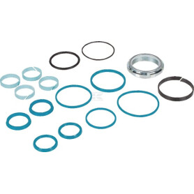 Kit ZF 501298310