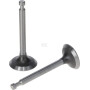 Kit LONCIN 5005501290001