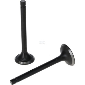 Kit LONCIN 5005500310001