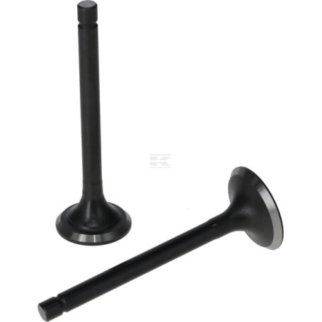 Kit LONCIN 5005500310001