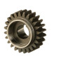 Engrenage FPT 504387506FPT