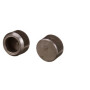 Bouchon de valve FPT 504387777FPT