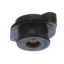 Reniflard FPT 504382162FPT