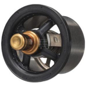 Thermostat FPT 504096443FPT
