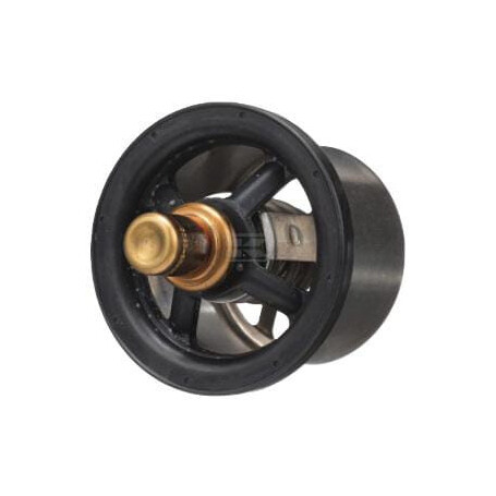 Thermostat FPT 504096443FPT