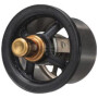 Thermostat FPT 504096443FPT