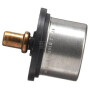 Thermostat FPT 504096443FPT