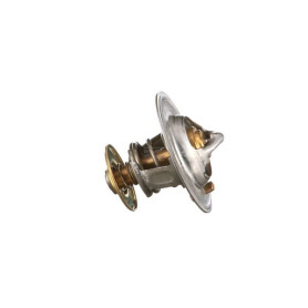 Thermostat FPT 504038890FPT