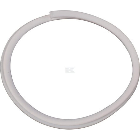 Rondelle CNH 5106297