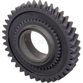 Pignon RAICO 5104175N