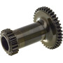 Engrenage CNH 5139362