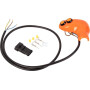 Bouton RAICO 5189629N