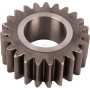 Engrenage CNH 5169137