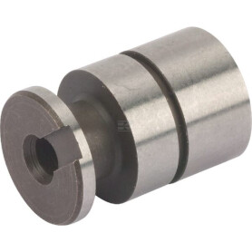 Piston FENDT (AGCO) 524101150131