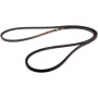 Courroie de traction HUSQVARNA 531005021