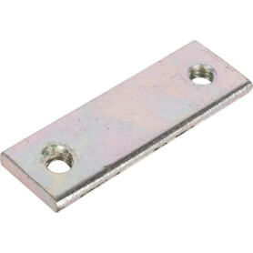 Contre-plaque RAICO 541055N