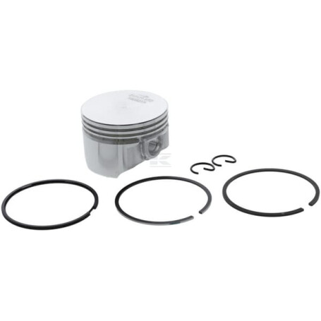 Ensemble BRIGGS & STRATTON 555660