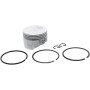 Ensemble BRIGGS & STRATTON 555660