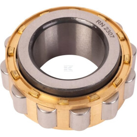 Cage de rouleaux RAICO 553091N