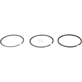 Jeu de bagues BRIGGS & STRATTON 555664