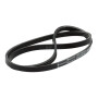 Courroie de transmission HUSQVARNA 544976302
