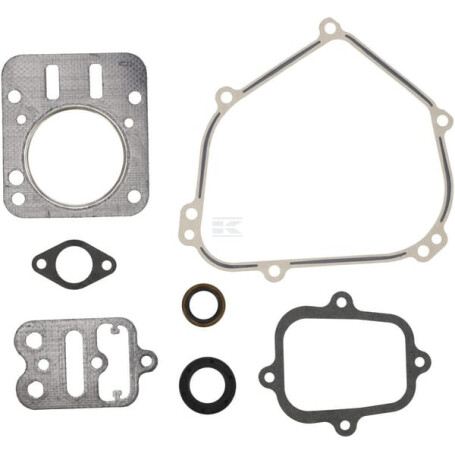 Kit BRIGGS & STRATTON 555631