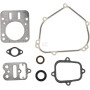 Kit BRIGGS & STRATTON 555631