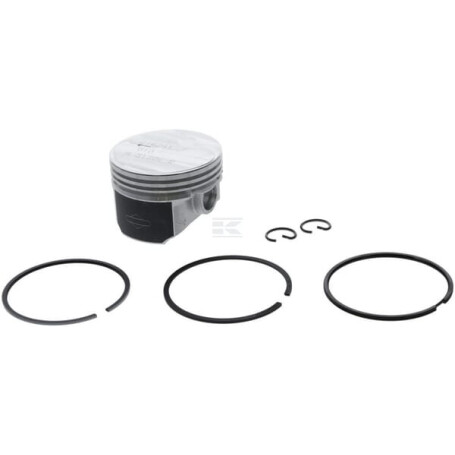 Ensemble BRIGGS & STRATTON 557122
