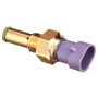 Capteur FPT 5801567640FPT