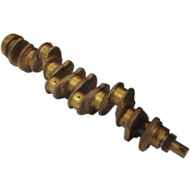 Vilebrequin FPT 5801723069FPT