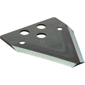 Section RI.MA 58028096RM