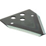 Section RI.MA 58028096RM