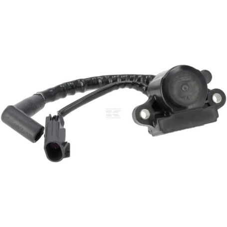 Bobine d'allumage BRIGGS & STRATTON 593856