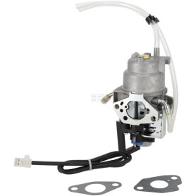 Carburateur BRIGGS & STRATTON 596108