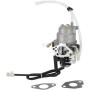 Carburateur BRIGGS & STRATTON 596108