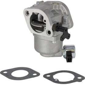 Carburateur BRIGGS & STRATTON 596033