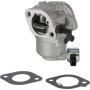 Carburateur BRIGGS & STRATTON 596033